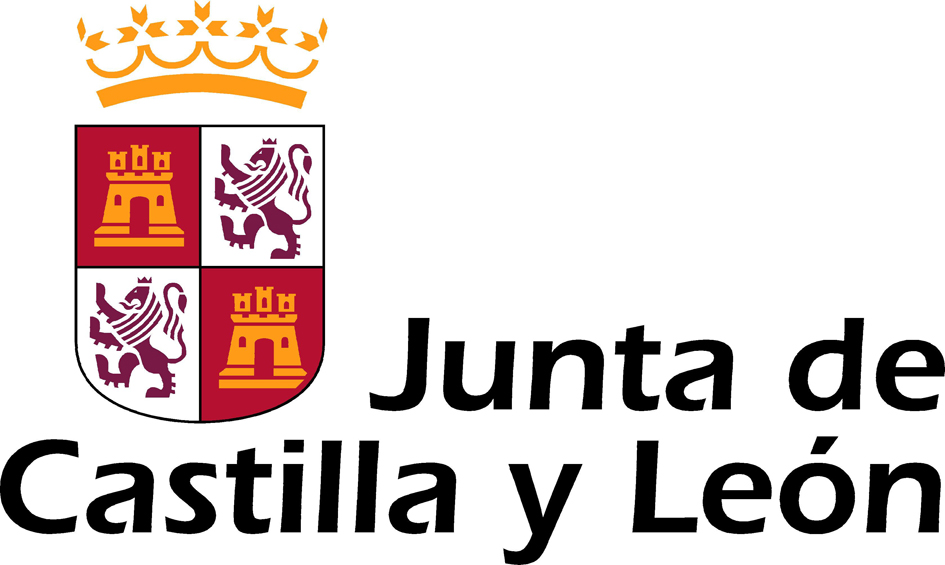 Junta de Castilla y León